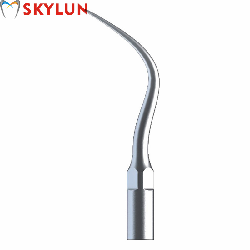 Teeth Whitening Usa - 5 adet P4 diş ultrasonik skaler