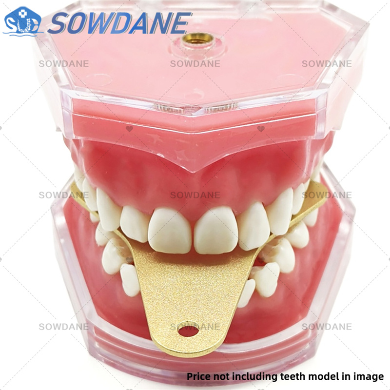 Diş Laboratuvarı Ölçü Tepsiler - Teeth Whitening Trays incelemesi ve fiyatı